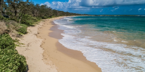 Beach in front of the vacation home